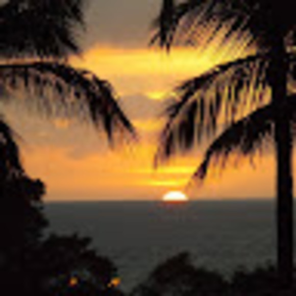 Meet your Posher, Darryl - Picture 1 of 1